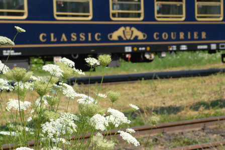 Wagen des CLASSIC COURIER Foto: DNV-Tours